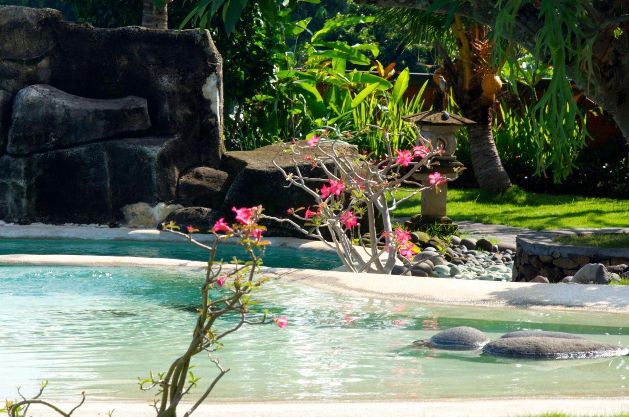 Villa Bali Pondok Jepang 罗威那 外观 照片